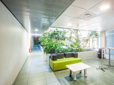 312m² de bureau à louer sur Montpellier - Parc Eurêka