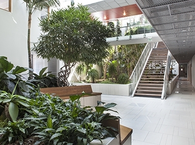116m² de bureau à louer sur Montpellier - Parc Eurêka