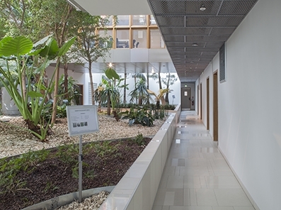 116m² de bureau à louer sur Montpellier - Parc Eurêka
